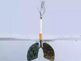 吸烟者应该怎样科学有效的保护肺？ 烟草资讯,肺癌,维生素,胆固醇