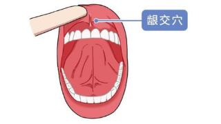 牙龈肿痛、口臭，找龈交穴来帮忙