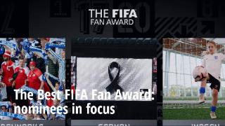 FIFA最佳球迷候选:丹麦和芬兰球迷入围 欧洲杯为埃神加油
