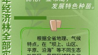 海报集｜河北：造林树种良种使用率2025年达到71%以上