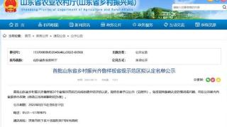 37个！首批山东省乡村振兴齐鲁样板省级示范区拟认定名单公示