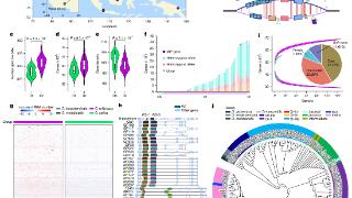 我国科学家破解野生稻遗传多样性密码