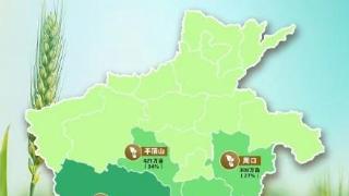 河南省农业农村厅每日报告夏播进度