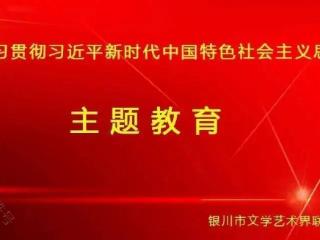 主题教育进行时|全国书法兰亭奖金奖获得者崔寒柏书法讲座在银川