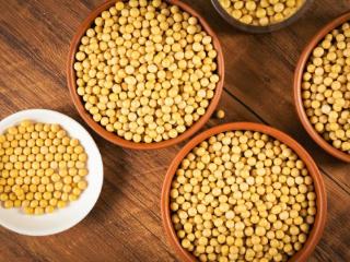 黄豆中的脂肪以不饱和脂肪酸为主，对人体健康十分有益