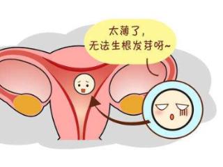 子宫内膜薄怎么办？四种方法帮你恢复正常厚度
