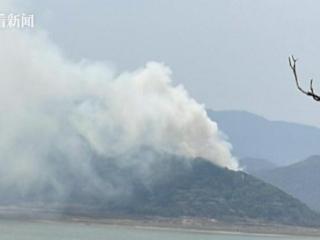 131起！墨西哥多地发生山火 过火面积超63000公顷