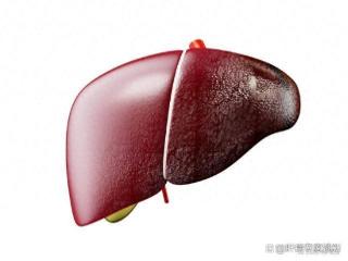 肝脏“最喜欢”的5种食材，你知道吗