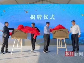 湖北省黄鳝产业技术研究院揭牌，仙桃黄鳝未来将占全国半壁江山