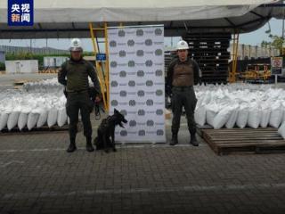 哥伦比亚警方缉获2.1吨可卡因 价值1.26亿美元