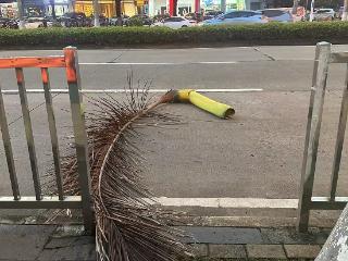 海口凤翔东路滨江广场前公交站旁一棵棕榈树枝突然掉落