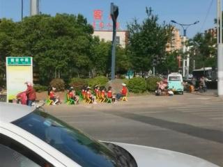 枣庄一群幼儿园孩子坐在马路边做活动，路人直呼危险，教体局回应