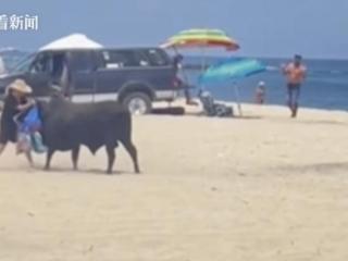 墨西哥海滩惊魂一幕 女子不听劝遭公牛冲撞踩踏