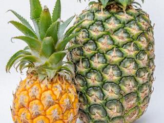 你知道凤梨和菠萝的区别吗？很多人都不知道，看完后真涨见识了