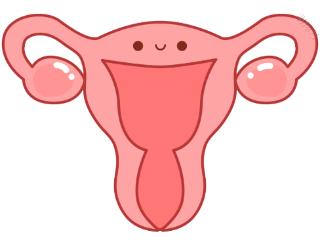昆明送子鸟：女性输卵管出现堵塞对卵巢功能衰退有影响吗？