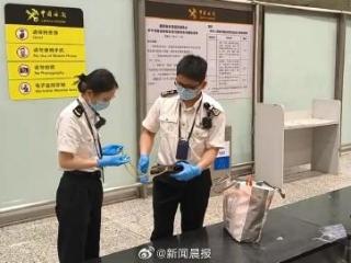 广州海关查获两名旅客违规携带黄金制品入境
