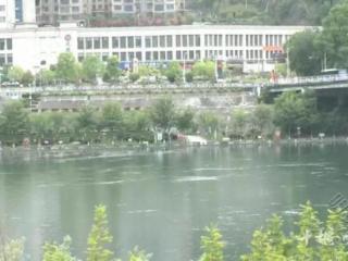 女孩不慎坠入河中，男子从20多米高的桥上跳进河中救人