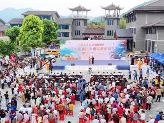又是一年枇杷熟，湖北通山举办第六届枇杷旅游节