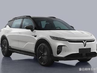 岚图全新纯电SUV获得申报，提供两种前脸、两种电机可选，期待