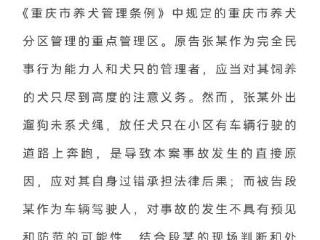 重庆沙坪坝区法院公布一起遛狗未系狗绳引发纠纷案件
