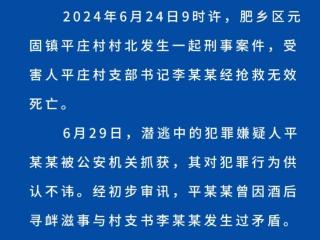 河北邯郸警方通报一村支书被害身亡：嫌疑人被抓获