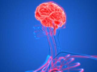 脑血管疾病中西医结合治疗与预防