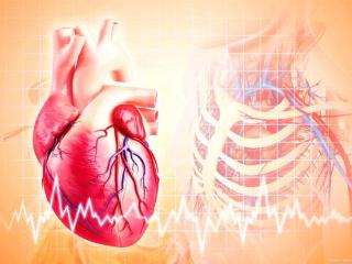 心主血脉与神志的正常发挥，离不开心之阴阳气血的平衡