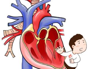 风湿性心肌炎和病毒性心肌炎一直是引发人们关注的心肌炎性疾病