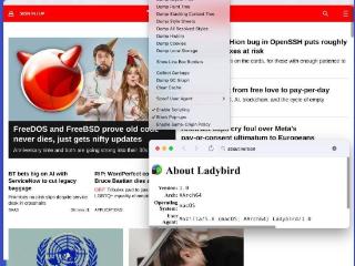 ladybird浏览器市场迎来新鲜血液