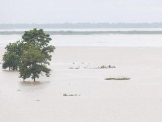 印度阿萨姆邦遭遇洪水 已致8人死亡