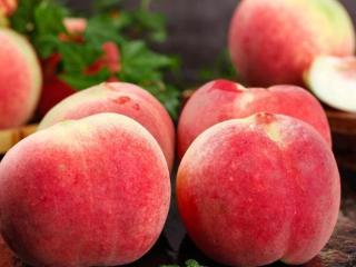 水蜜桃要放冰箱保存吗，水蜜桃可以吃皮吗