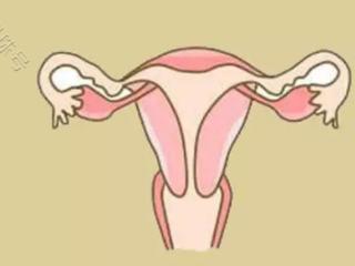 这些导致子宫内膜不均匀的疾病也可能导致不孕
