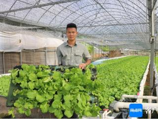 三亚市热带农业科学研究院举行耐湿热蔬菜新品种和叶菜新技术展示