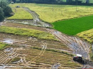 衡山县20.11万亩早稻收割步入尾声