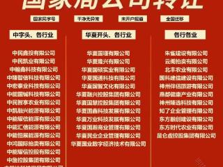 无区域国家局公司名称能给企业带来哪些具体优势？