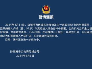 山上搜出一具男性尸体，初步调查为畏罪自杀