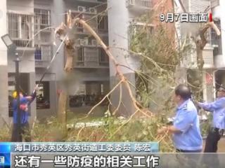 海口市成立灾后重建工作领导小组参与抢险救灾工作