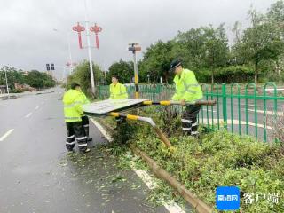 儋州市那大镇各村委会清理路障清理树木