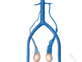 备孕过程中，精索静脉曲张远比你想的要可怕！