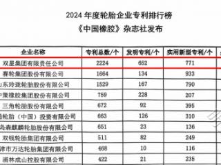 2024行业协会排名 双星荣登轮胎第二、乘用车胎第一