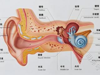 儿童可以使用挖耳勺吗？2024最靠谱可视耳勺推荐