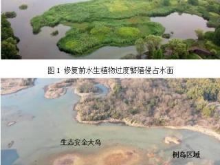 美丽浙江莲花滩生态修复成效显著