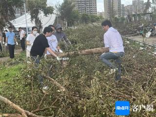 海南征信党支部全力支持海口灾后重建工作