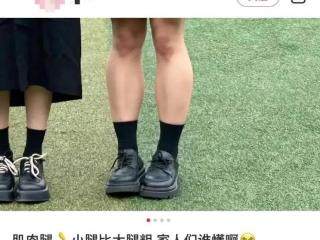 章子怡红毯造型引发热议：你怎么看？