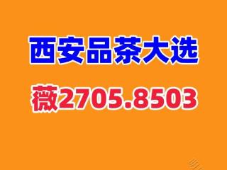 西安品茶工作室全城安排高端餐厅饮茶绅士大选盛宴