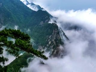 遂川县新盛旅游：整合旅游资源，打造“衣食住行”旅游服务平台