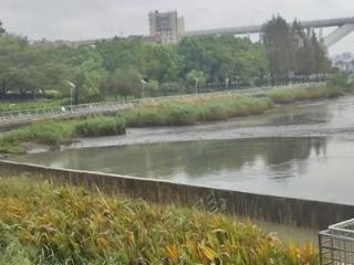 上海游泳馆站外积水严重，徐家汇地区已排空