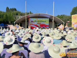 岳池县举办丰收节活动