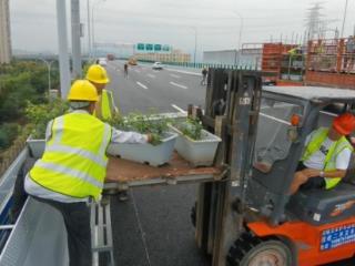 鄞州大道快速路二期高架绿化段9月23日前完工