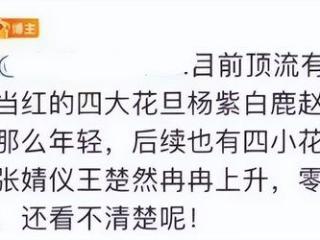 杨紫得罪于正了？于正排四大花旦四小花旦，杨紫成最大受害者